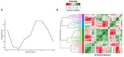 Associations of Meat and Fish Consumption With Conventional and Radiomics Cardiovascular Magnetic Resonance Phenotypes in the UK Biobank